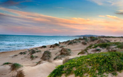 La Marina – 01