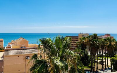 Los Leandros – 06