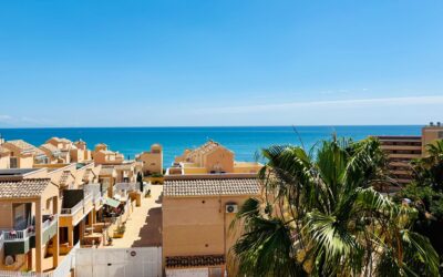 Los Leandros – 07