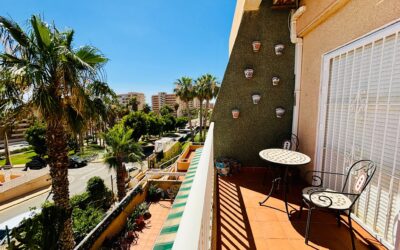 Los Leandros – 13
