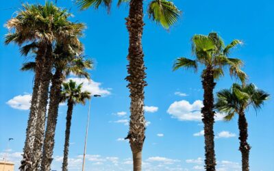 Los Leandros – 38