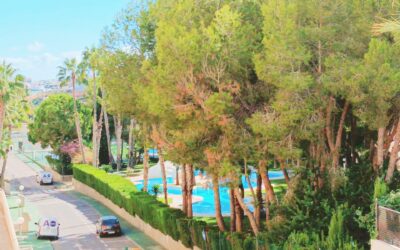 Samaniego Apartman – 09